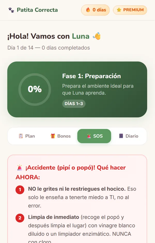 Pantalla SOS con qué hacer en un accidente
